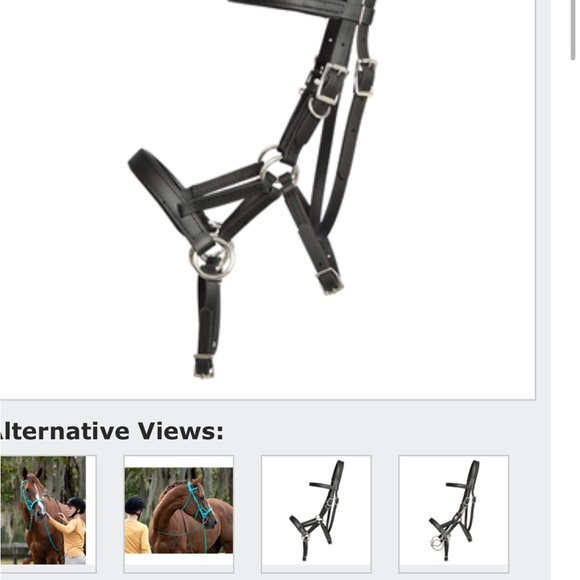 Convertible Bridle- Sidepull / Bit - Picture 3 of 4